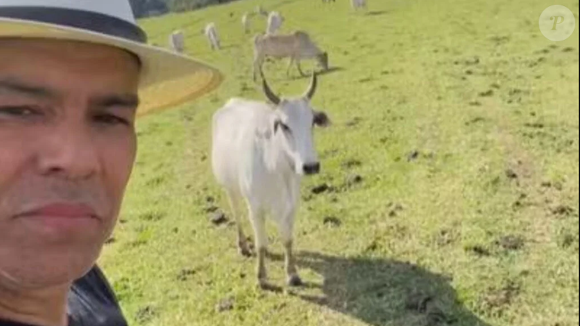 Aos 62 anos, Maurício Mattar investe na criação de cavalos e gado em Minas Gerais enquanto destila maldades como Junqueira na novela das sete,' Por Você'. O ator é dono do Haras Kirk, propriedade rural onde cria animais das raças Mangalarga Marchador e Nelore.