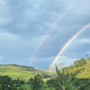 Reconhecimento da fazenda de Marcos Palmeira é dado a lugares que promovem a conservação da biodiversidade