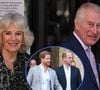Aqui está o motivo surpreendente pelo qual Príncipe William e o irmão, Harry, ‘imploraram’ para impedir casamento do pai, Rei Charles III, com Camilla