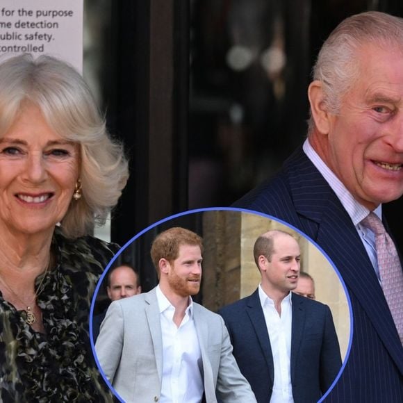 Aqui está o motivo surpreendente pelo qual Príncipe William e o irmão, Harry, ‘imploraram’ para impedir casamento do pai, Rei Charles III, com Camilla