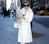 Muito antes da febre dos hotéis de luxo para pets, Mariah Carey já investia uma fortuna em hospedagem premium, spa e transporte aéreo privado para seus cães