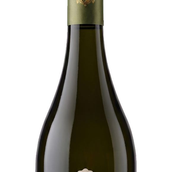 Também na linha Heritage, o Albariño Paco & Lola 2025 aposta no frescor dos brancos espanhóis de Rías Baixas, com perfil mais leve e elegante para quem prefere rótulos aromáticos