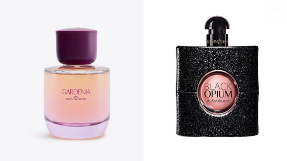 Gardenia (Zara) - 90 ml | R$ 149,00 - mistura flor branca, café e frutas como pêssego e framboesa, criando um perfume envolvente. Segundo usuários, ele se aproxima do Black Opium, da Yves Saint Laurent, famoso pelo acorde de café com baunilha