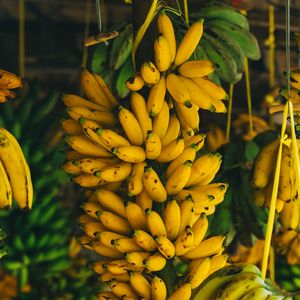 Banana também fortalece o sistema imunológico e estimula a produção de serotonina, hormônio responsável pela sensação de bem-estar