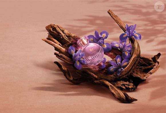 Considerada a fragrância mais marcante do portfólio Liz, Liz D'Essence combina a força dos amadeirados com a delicadeza da íris em uma composição luxuosa que promete conquistar as apaixonadas por perfumes intensos
