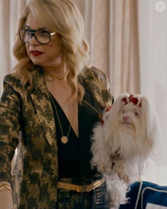 A novela Quem Ama Cuida terá uma nova reviravolta: Adriana usará uma câmera escondida na coleira da cachorrinha para investigar Pilar e ligar a vilã a Zeni