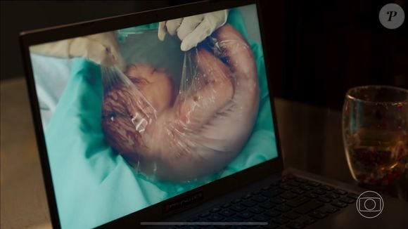 Parto de bebê reborn em 'Vale Tudo' causou polêmica nas redes sociais