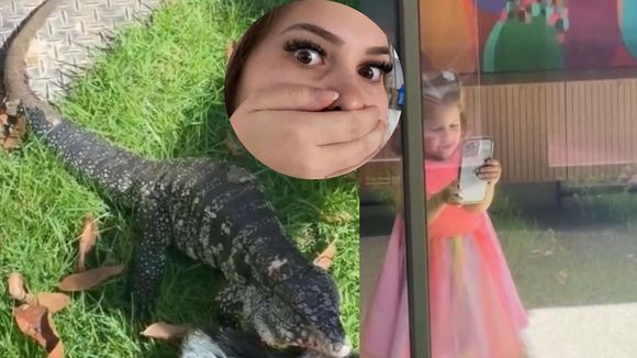 Meu Deus! Lagarto INVADE mansão de Virgínia Fonseca e filhas da influencer têm reação inacreditável; assista