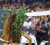 Evelyn Bastos será rainha de bateria da Mangueira no Carnaval 2026 do Rio pelo 12º ano seguido