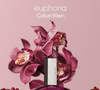 Com romã, nêspera e acordes verdes no topo, Euphoria, de Calvin Klein, ganha corpo com flor de lótus e orquídea negra e termina com âmbar, violeta negra e madeira caoba