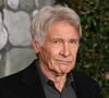 O plano de Harrison Ford para se manter forte aos 83 anos: 'Sou um velho rabugento e preciso me proteger'