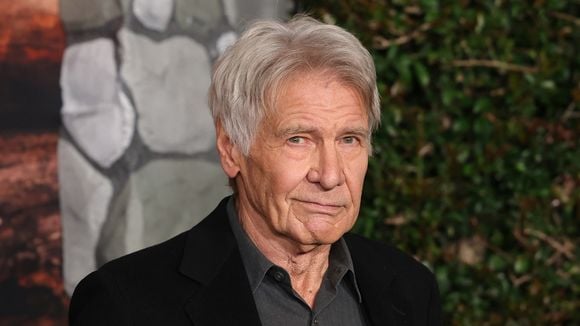 'Sou um velho rabugento e preciso me proteger': o plano de Harrison Ford para se manter forte aos 83 anos