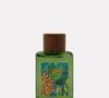 Perfume da Phebo com alecrim, limão siciliano e cardamomo aposta nas ervas aromáticas para entregar frescor sofisticado no Inverno