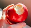 O especialista alerta para aumentar a ingestão de alimentos ricos em fibras, como maçã.