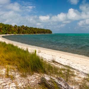 Halfmoon Caye Audubon Sanctuary, Lighthouse Atoll, Belize, Central America, Caribbean.