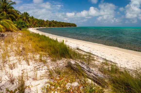 Halfmoon Caye Audubon Sanctuary, Lighthouse Atoll, Belize, Central America, Caribbean.