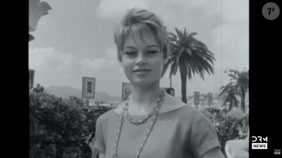 Brigitte Bardot se casou quatro vezes e deu à luz uma vez, tendo relação conturbada com o filho único