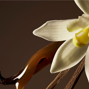 Doce na medida certa, com baunilha cremosa e fundo amadeirado, a fragrância entrega um aroma sofisticado que envolve sem enjoar