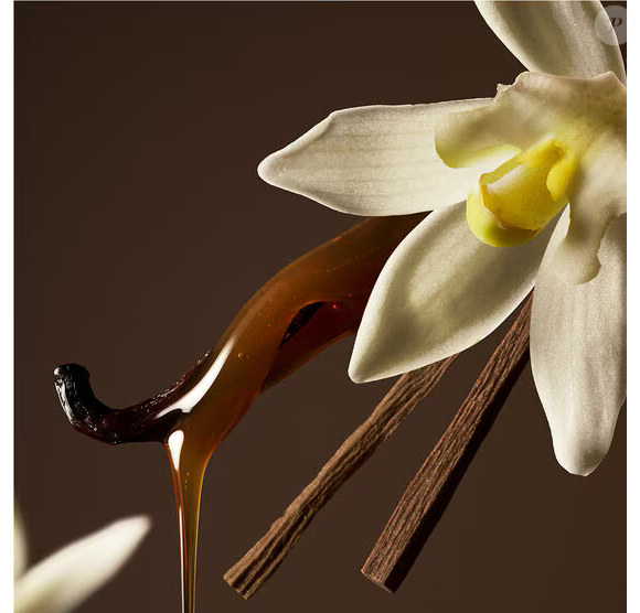 Doce na medida certa, com baunilha cremosa e fundo amadeirado, a fragrância entrega um aroma sofisticado que envolve sem enjoar