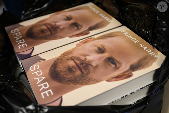 Em seu livro de memórias 'O que sobra', Príncipe Harry relatou que ele e seu irmão 'imploraram' para que o pai não tornasse oficial a união com Camilla.