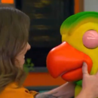 Tati Machado quebra o protocolo e leva intérprete do Louro Mané às lágrimas no ‘Mais Você’: ‘Te amo, Tati’