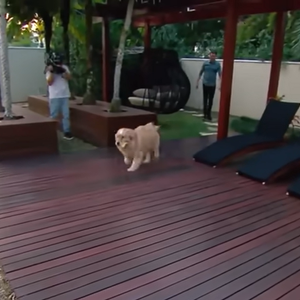 Mansão de Celso Portiolli conta com uma área externa elegante e aconchegante