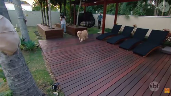 Mansão de Celso Portiolli conta com uma área externa elegante e aconchegante