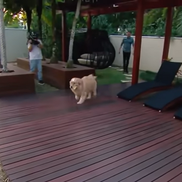Mansão de Celso Portiolli conta com uma área externa elegante e aconchegante