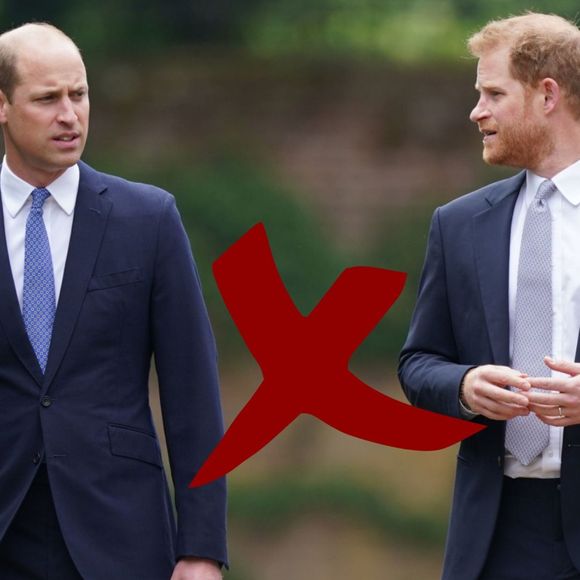 Treta William x Harry: relação polêmica entre irmãos, filhos de Rei Charles III, vem à tona por suposto ex de Princesa Diana