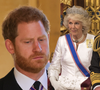 'Não há...': Rainha Camilla se torna um ponto 'inegociável' na reconciliação do príncipe Harry com o pai, Rei Charles III