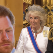 'Não há...': Rainha Camilla se torna um ponto 'inegociável' na reconciliação do príncipe Harry com o pai, Rei Charles III
