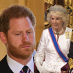 'Não há...': Rainha Camilla se torna um ponto 'inegociável' na reconciliação do príncipe Harry com o pai, Rei Charles III