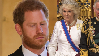 'Não há...': Rainha Camilla se torna um ponto 'inegociável' na reconciliação do príncipe Harry com o pai, Rei Charles III