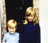 A infância de princesa Diana em Park House teve direito até a um episódio inusitado: segundo o irmão, Charles Spencer, uma das lembranças marcantes da casa foi a chegada de um camelo chamado Bert para o aniversário de sete anos de Diana. A história aparece no livro “O Canto do Cisne: Diana, Minha Irmã”, publicado pela Companhia das Letras no Brasil