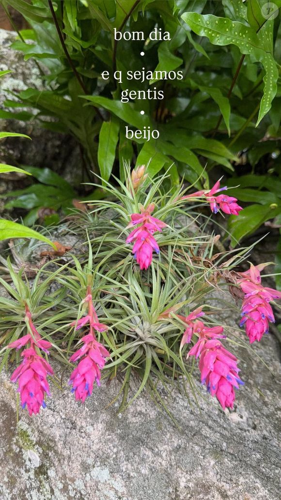 Carolina Dieckmmann, além de negar estar magra, terminou o desabafo com uma foto com a seguinte mensagem: "Que sejamos gentis, beijo"