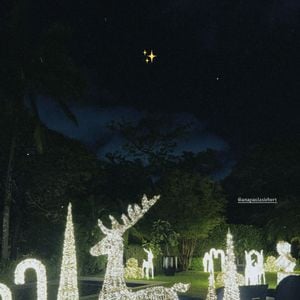 Decoração da mansão de Roberto Justus traz várias esculturas natalinas feitas com fios de luz, entre elas, renas, árvores cônicas e bengalas decorativas