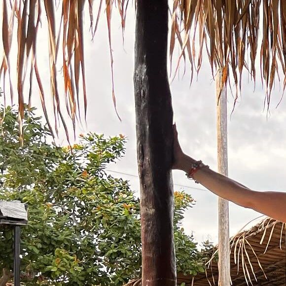 Tamires Assis em fotos de biquíni nas redes sociais: modelo valoriza corpo definido em cliques