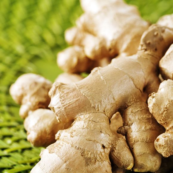 Gengibre é uma raiz que traz diversos benefícios para imunidade, além de ajudar a desinchar e acabar com gases
