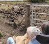 Eileen Wilkie contou que, ao longo das últimas décadas, "beber xerez e comer mingau" foram alguns dos seus segredos
