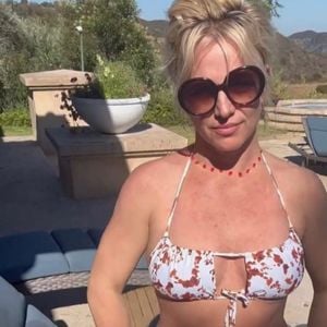 Britney Spears chegou a ser algemada pela Patrulha Rodoviária da Califórnia