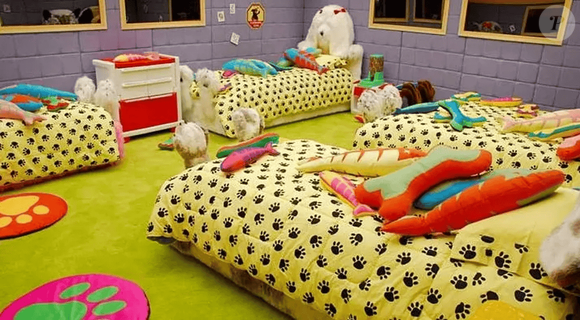 BBB 7 – um dos quartos foi inspirado no programa infantil 'TV Colosso', com camas em formato de cachorro