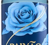 2. Paixão Body Splash Rosas Brancas | R$ 39,99 - Clássico na nécessaire do brasileiro, o Paixão Rosas Brancas combina flores delicadas e fundo amadeirado, ideal para quem busca conforto e leveza no dia a dia