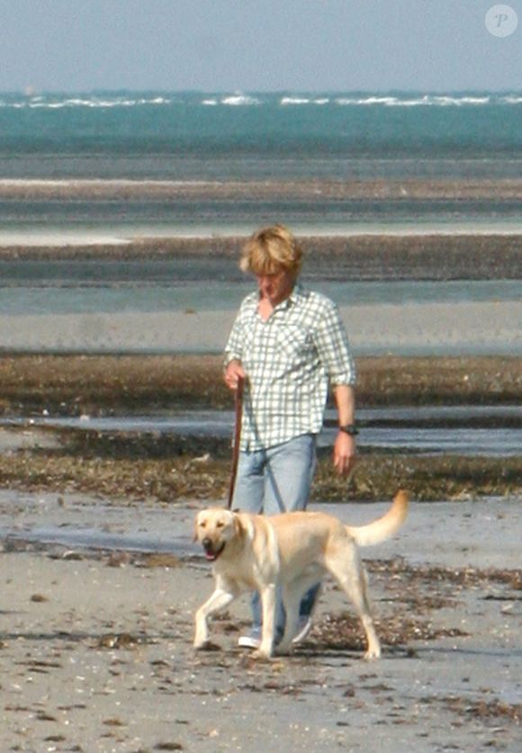 Owen Wilson em 'Marley & Eu': sucesso nas telonas, desafio nos bastidores: como foi trabalhar com 22 labradores