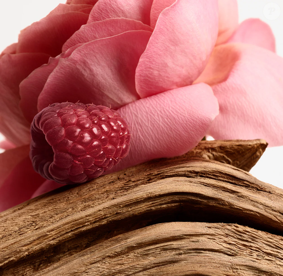Considerado um dos perfumes mais sofisticados da perfumaria de nicho, 'Portrait of a Lady' combina rosa damascena, incenso e notas amadeiradas em uma composição marcante