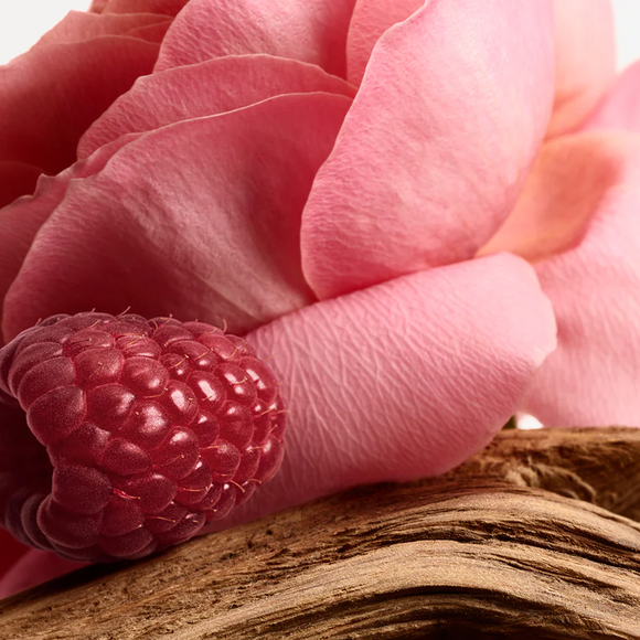 Considerado um dos perfumes mais sofisticados da perfumaria de nicho, 'Portrait of a Lady' combina rosa damascena, incenso e notas amadeiradas em uma composição marcante