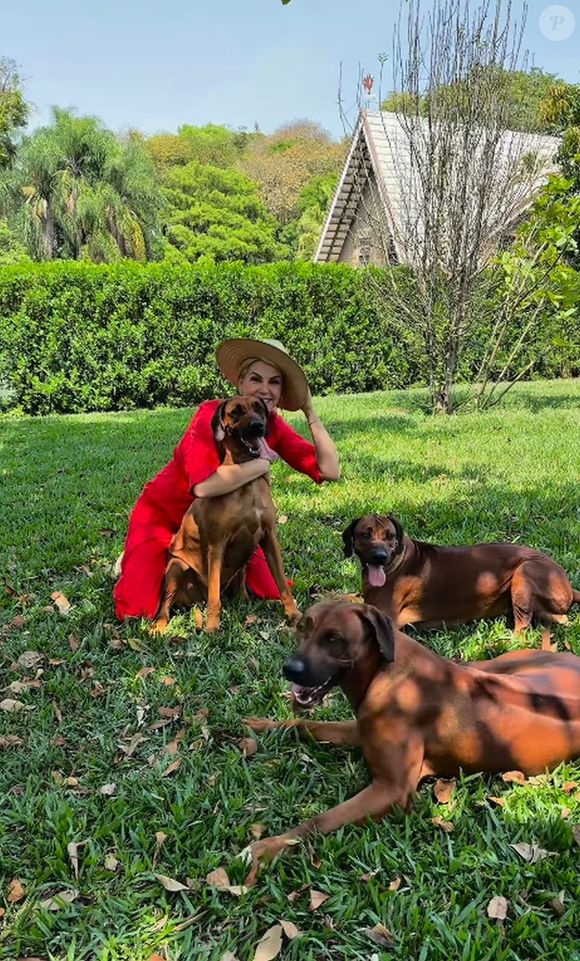 Ana Hickmann também negou que só o canil de sua casa teria sido avaliado em R$ 10 milhões