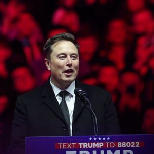 "Para alcançar o nível de uma legião antes do apocalipse, precisaremos de barrigas de aluguel", teria dito Elon Musk em uma mensagem