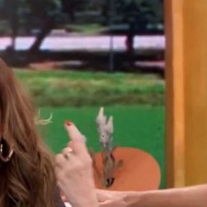 Se existe uma atriz que transformou a mulher forte em marca registrada, essa é Susana Vieira. Rica ou pobre, vilã ou mocinha, suas personagens costumam ter personalidade avassaladora
