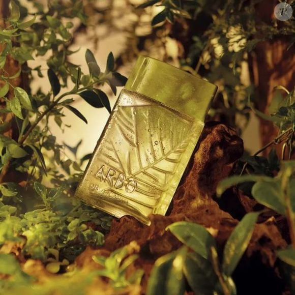 Com família olfativa Fougère Aromático, o perfume oferece frescor energizante, perfeito para quem busca leveza e disposição ao longo do dia