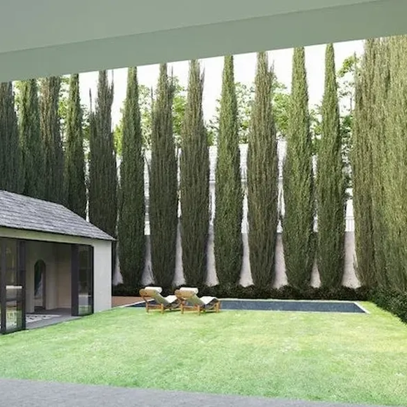 Mansão de Shawn Mendes nos EUA